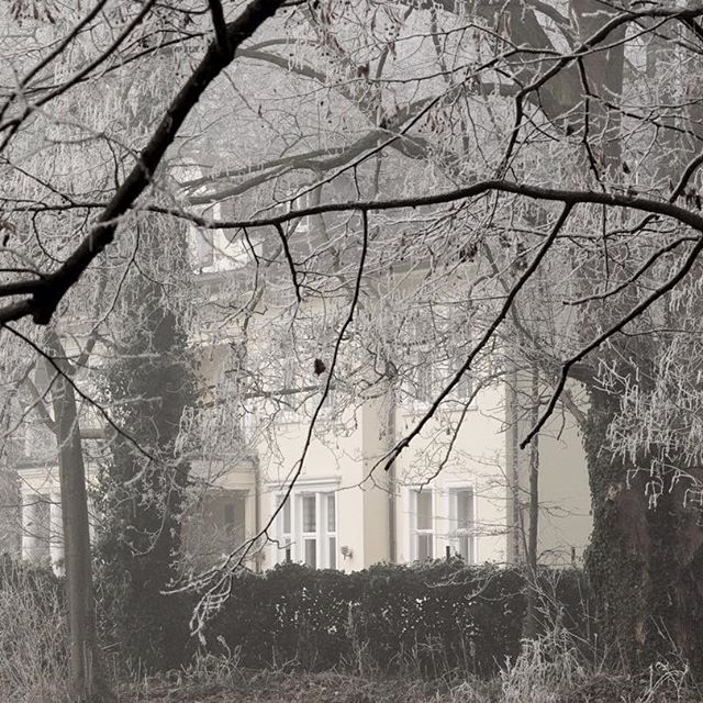 Mansion in the mist